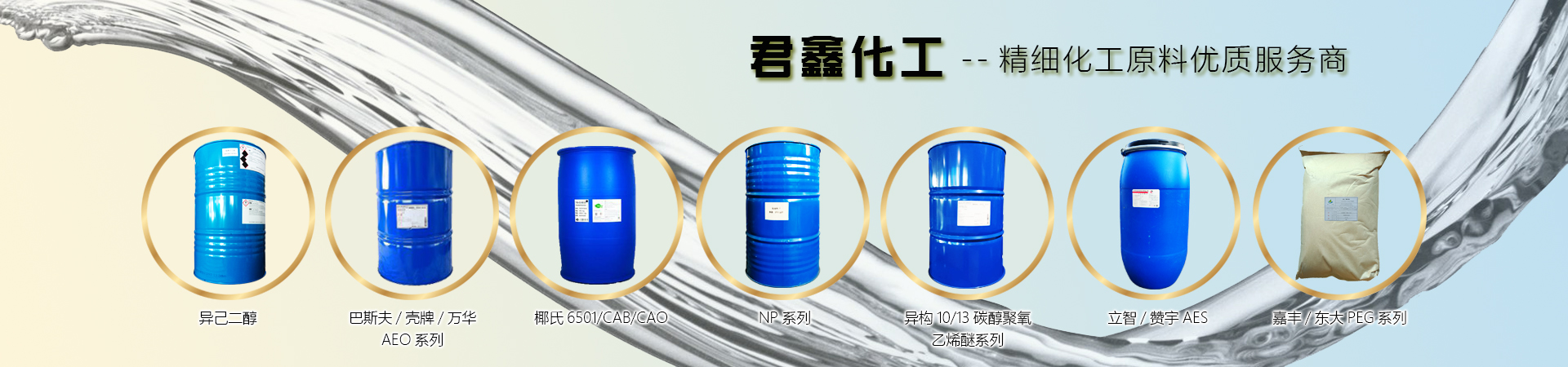 公司簡介